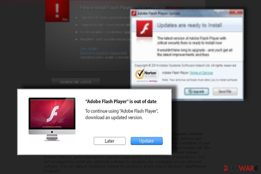 Flash player virus removal mac